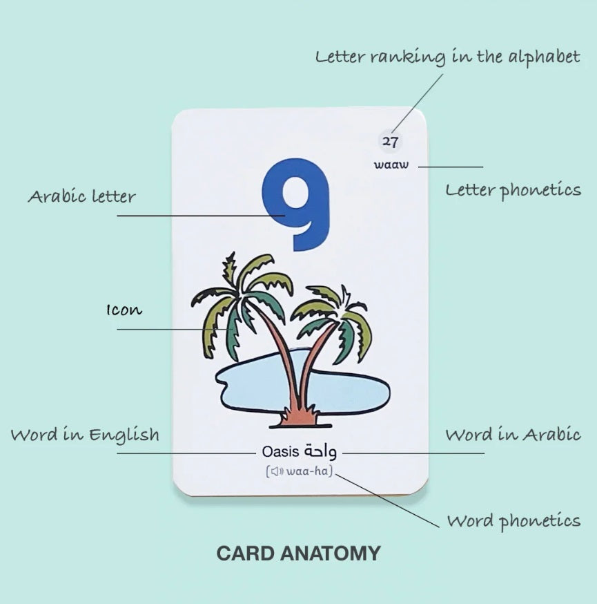 Arabic alphabet flashcard anatomy with letter and illustration
