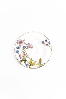 Shirovana Cappuccino Cups & Saucers (Set of 4)
