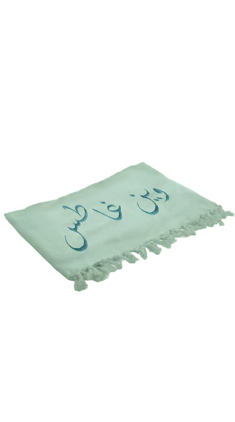 Rio Embroidered Turkish Beach Towel  وين غاطس